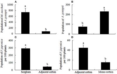 Behavioral mechanism of transfer and dispersal of Propylaea japonica in cotton adjacent to sorghum fields